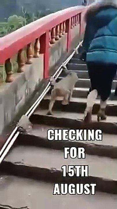 It is Monkey checking....