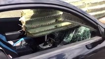 Un énorme cactus se retrouve dans le pare-brise d'une voiture