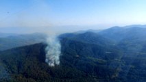 Son dakika: İzmir'de ormanlık alanda çıkan yangına havadan ve karadan müdahale ediliyor