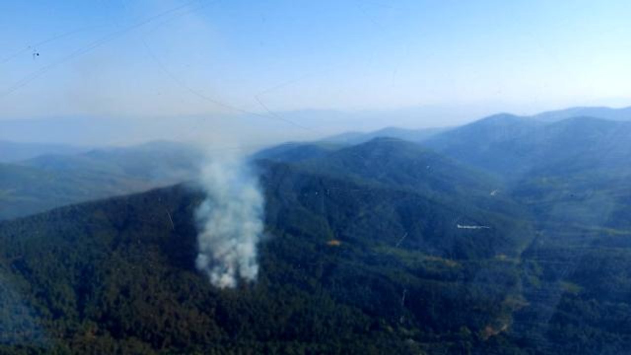 Son dakika: İzmir'de ormanlık alanda çıkan yangına havadan ve karadan müdahale ediliyor