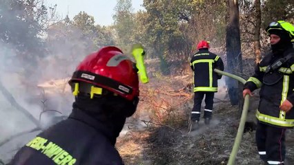Feu violent sur la Côte d'Azur, des milliers de personnes évacuées