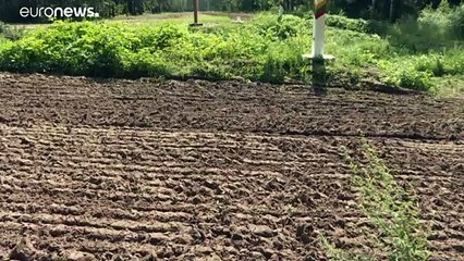 Меркель: "Лукашенко использует мигрантов, чтобы подорвать безопасность в Европе"