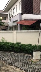 Spring-Loaded Pup Jumps to Say Hello