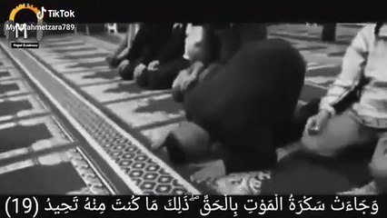 اجمل حالة واتس اب قرآن كريم للقارئ الشيخ ياسر الدوسري