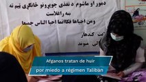 Talibanes prometen respetar derechos de mujeres en Afganistán; afirman que no buscan venganza