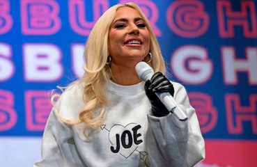 Lady Gagas Hundesitter Ryan Fischer: Crowdfunding für neuen Van