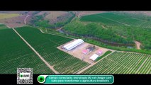 Campo conectado tecnologia 5G vai chegar com tudo para transformar a agricultura brasileira