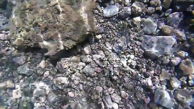 ANKIKEDI Soft Silicone Bait, Biting Shrimp Carp Bass, Pike Fishing Lure Gamba Gambas Gambita Lure,Sea Worm Swimbait Rockfishing-Fishing Lures-