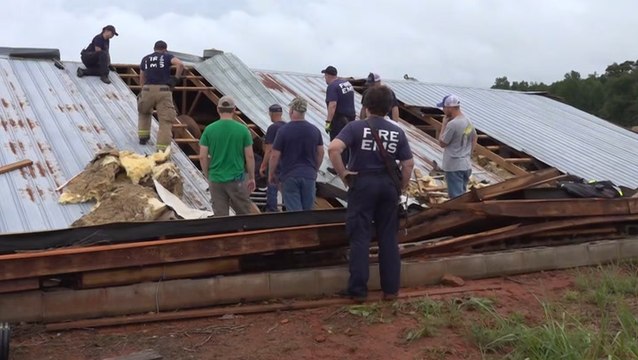 Horses rescued from collapsed barn after Fred moves through Georgia