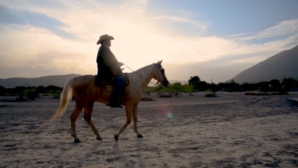Mario Monge - Atardecer Huasteco