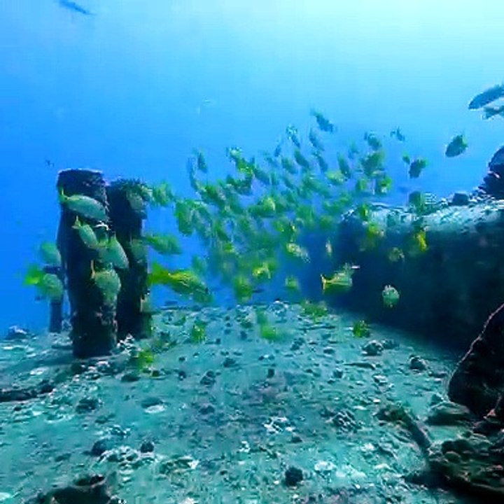 Sea Aquarium Part 3