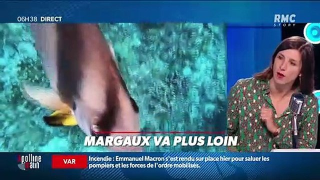 Margaux va plus loin : Quel est l'impact de la modification des courants marins dans l'Atlantique ? - 18/08