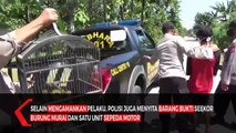 Pria Curi Burung Murai Terlilit Utang