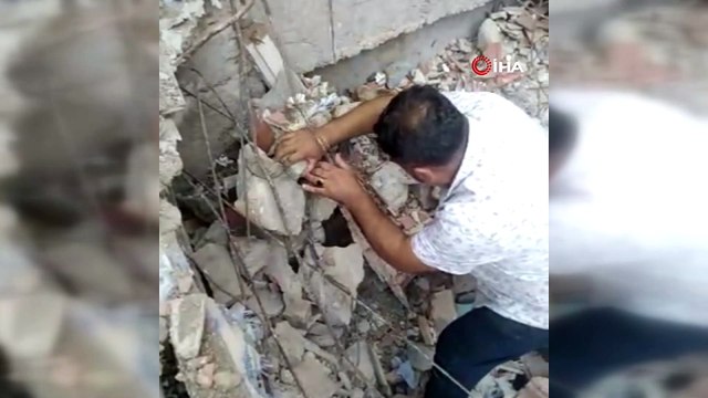 Molozların altında kalan yavru kediler böyle kurtarıldı