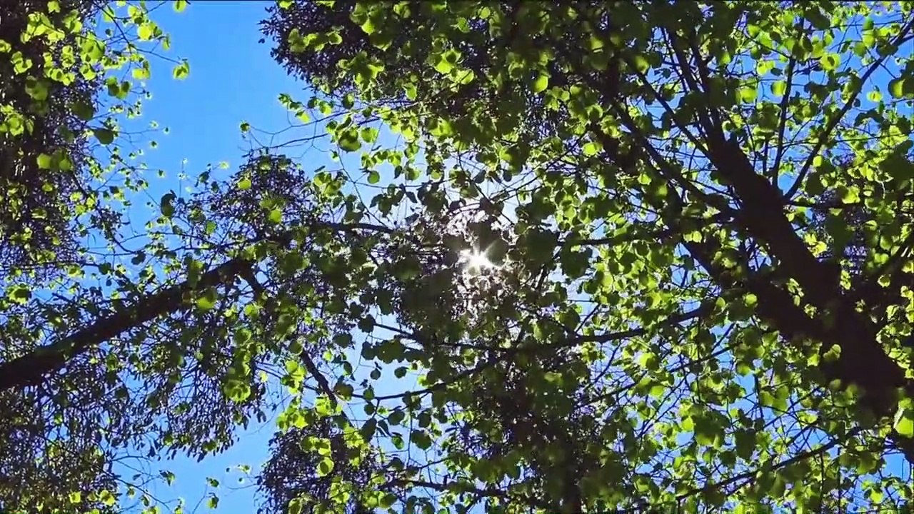 ORACION DE LA MAÑANA DEL DIA DE HOY Miercoles 18 de Agosto de 2021- Oracion SEÑOR TE ALABO