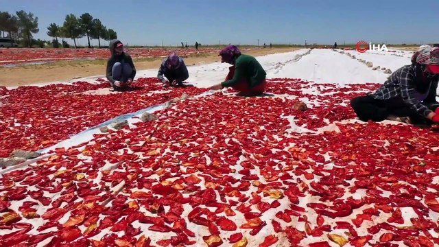 Kadınlar hem üretiyor hem de ihraç ediyor