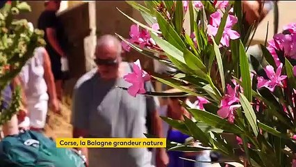 Tourisme : la Balagne (Corse) grandeur nature