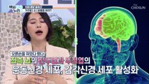 「거꾸로 손 운동」으로 무서운 치매를 예방하자↗ TV CHOSUN 20210818 방송