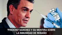 'Pinocho' Sánchez y su mentira sobre la inmunidad de rebaño