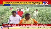 Vadodara_ Pest attack on crops, Dabhoi farmers fear huge loss_ TV9News