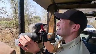 Lioness failed hunting attempt chasing Kudu l Kruger Park