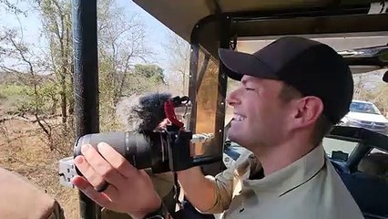 Lioness failed hunting attempt chasing Kudu l Kruger Park