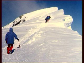 Piz Palü 3905 m à ski - Bernina - Suisse