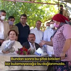 Akşener'den Erdoğan'a: Muğla'da Fatma kardeşimin son çiçeği gibi çocuklarının yok olan geleceğini rantçılığa göz yumarak feda edemezsin