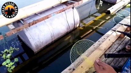 Catch Many Fish With Simple Bait Part 1 __ Traditional Fishing