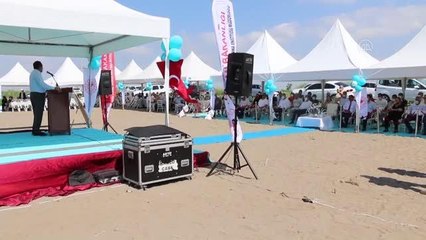 "Ayşehanım" yer fıstığı çeşidi tarla günü etkinliğiyle tanıtıldı