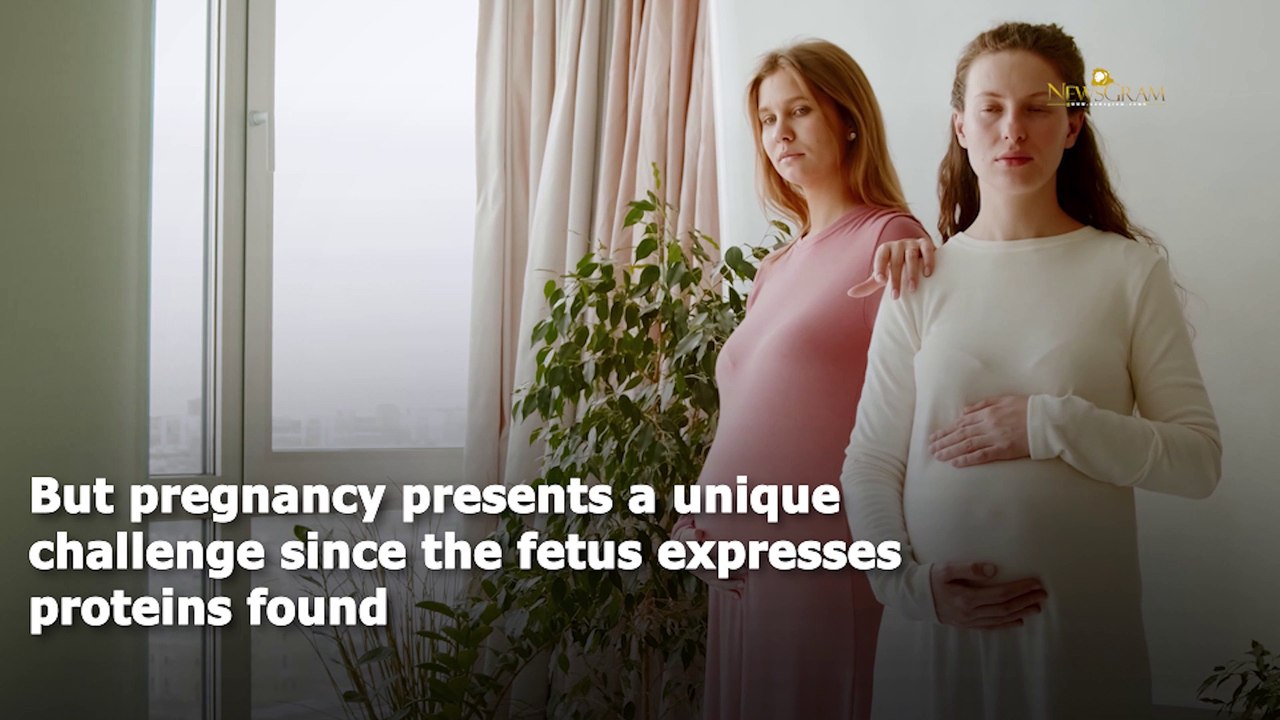 The Role Of Our Immune System In Preventing Miscarriage