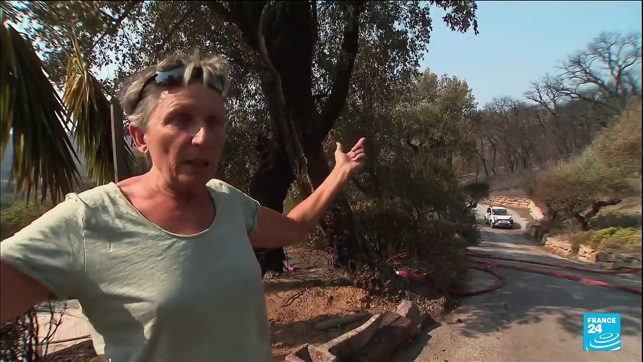 Incendies en France : un mort dans le Var, 1 200 pompiers déployés