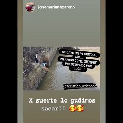 El impresionante video de Cristian U rescatando a un perro que se cayó a un dique en Puerto Madero Video 1