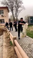 Best Fishing Video  Amazing Fishing  Tik Tok China shorts