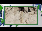اكتشاف تاريخي في صحراء السعودية .. بقايا حوت منقرض قبل 37 مليون سنة !
