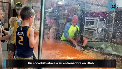 Un cocodrilo ataca a su entrenadora en Utah