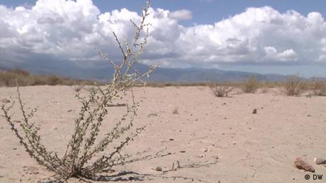 Spaniens Plantagen und die Dürre - Wüste oder Wende