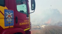 Bombeiros combatem incêndio em vegetação às margens da BR-277