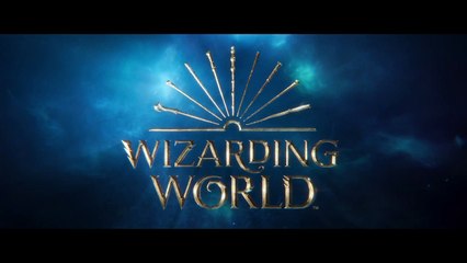 Harry Potter and the Philosopher's Stone - Magical Movie Mode - Warner Bros. UK
