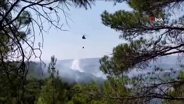 Uşak'ta ormanlık alanda yangın başladı