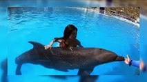 Jessica Cediel lució su figura en diminuto bikini rojo y nadó con un delfín