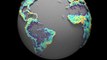 Voilà à quoi ressemble le globe terrestre en fonction de la densité de population