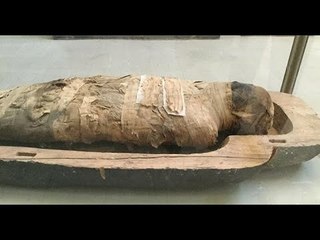 مباشر / مصر :  رحلة المومياوات الملكية في موكب ذهبي مهيب