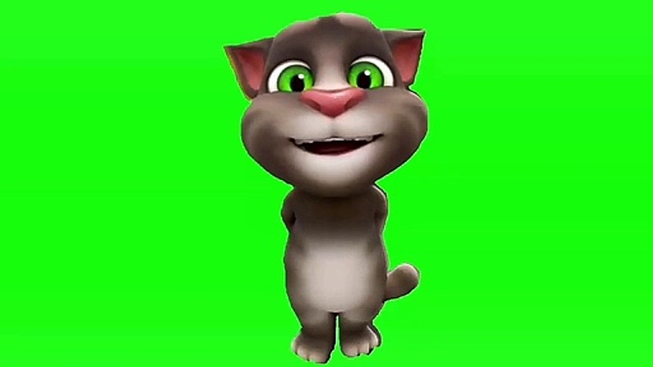 Green screen Talking Tom copyright  free video _ comedy talking tom_HD
