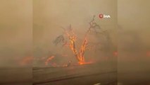 Son dakika haber: Fransa'da orman yangınları: 1 ölü