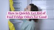 How to Quickly Get Rid of Foul Fridge Odors for Good