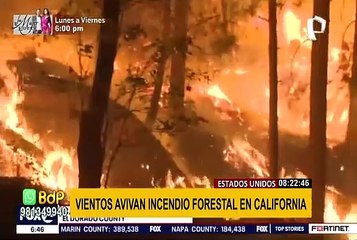 Estados Unidos y Europa: crece alarma por propagación de incendios forestales
