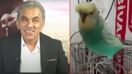 Televizyon tarihinde bir ilk! Spor programının açılış anonsunu muhabbet kuşu "Yiğido" yaptı