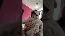 Willow the Bulldog Loves Belly Pats