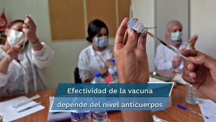 Covid-19: eficacia de la vacuna de Moderna podría depender de la reacción inmune de cada persona